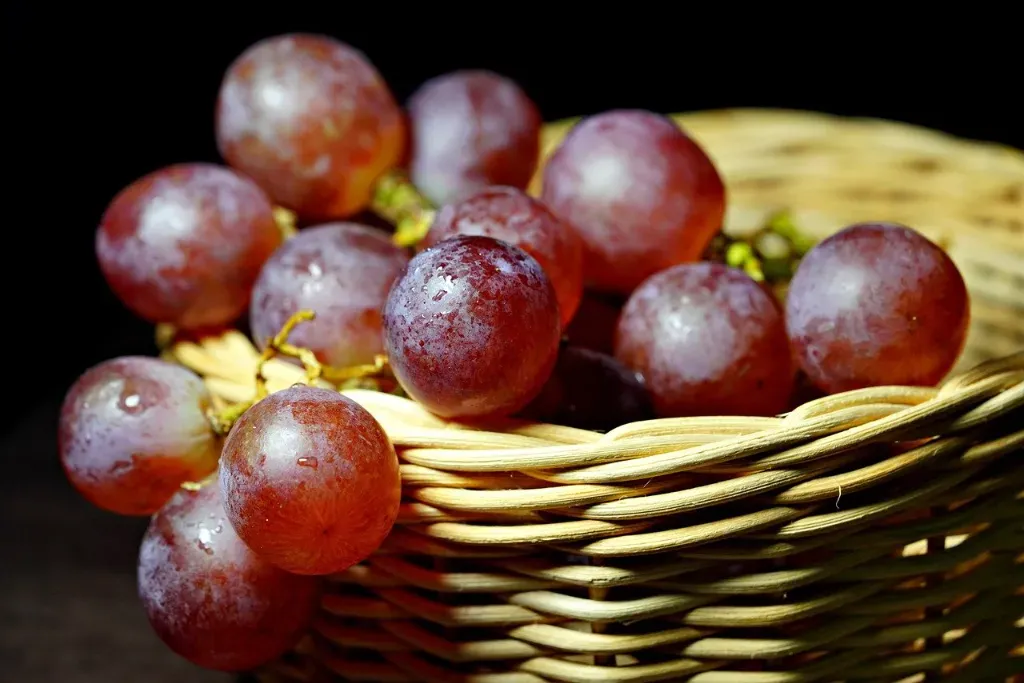 Jakie witaminy przyjmować jesienią